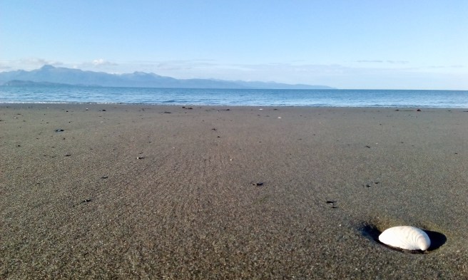 DC5C2A90-7361-4DD2-ADA8-D465897034C0