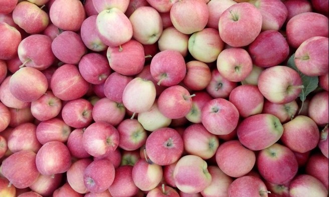 21686215_751020518434265_2880861752949107846_n